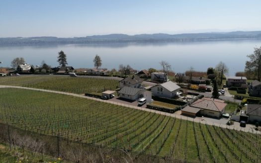 Terrain avec projet à Môtier (Vully)