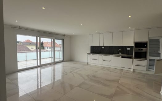 Magnifique appartement de 4.5 pièces à louer