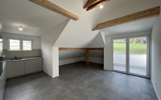 3 studios neufs à vendre à Vuisternens en Ogoz.